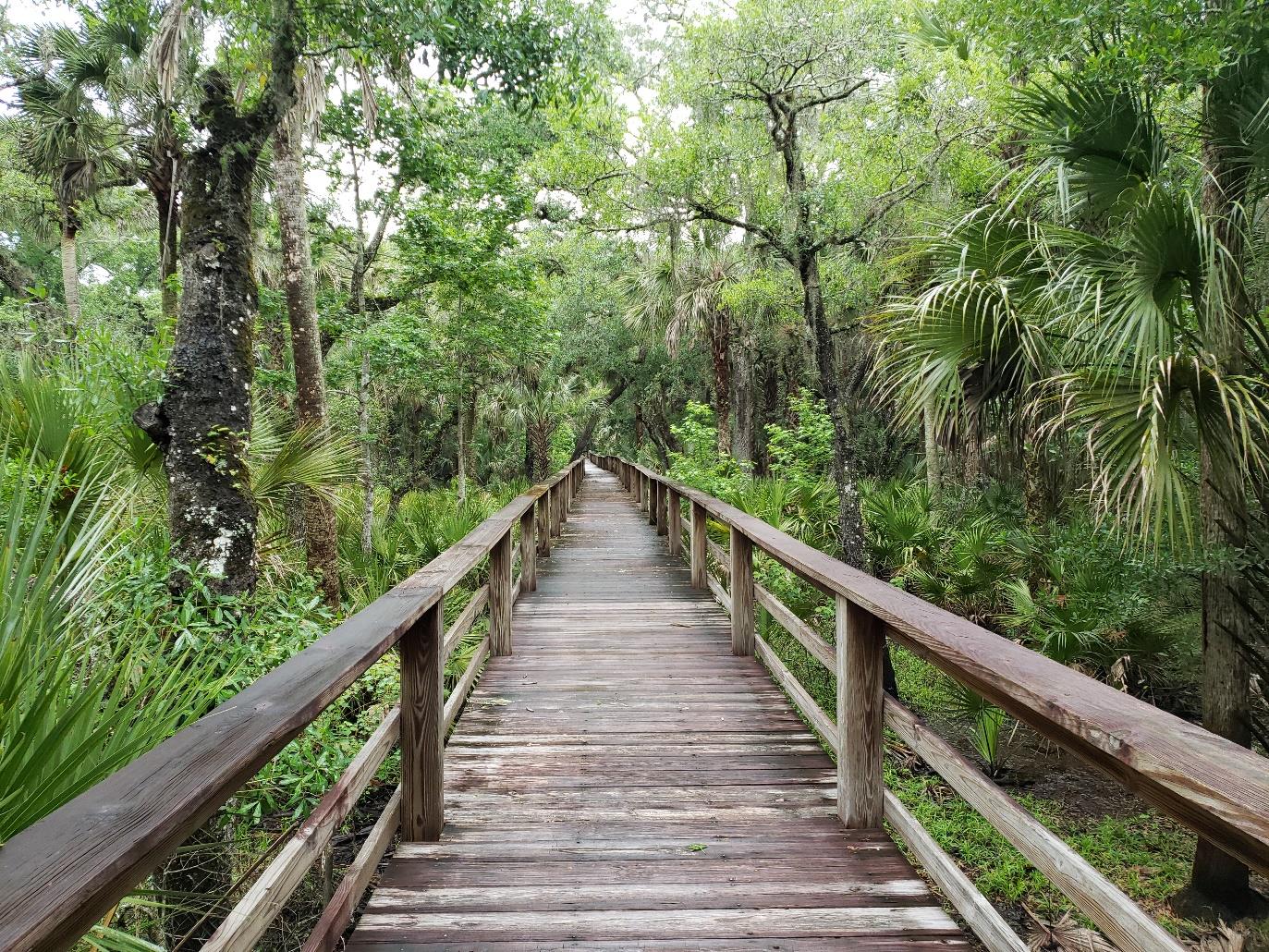 Haw Creek Preserve – Russell Landing 2