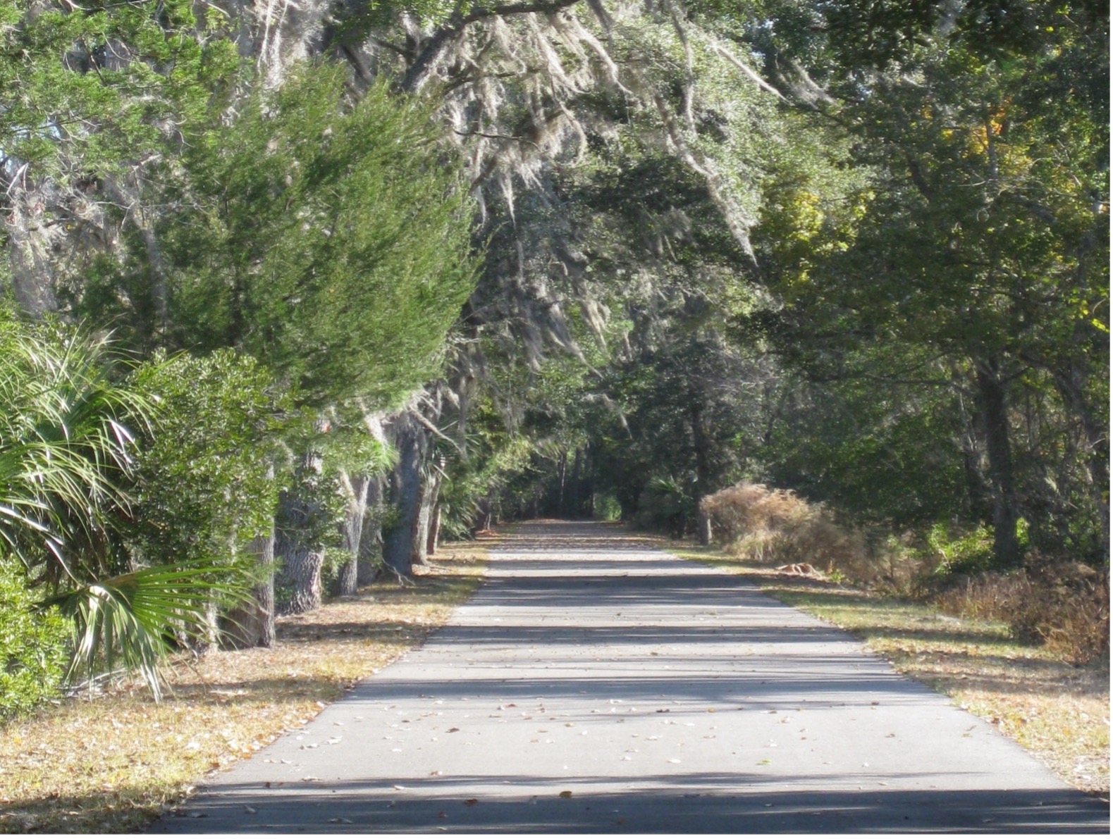 Lehigh Trail 2